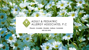 allergy-asthma-clinic-anthem-az-adult-pediatric-allergy-associates-pc-copy